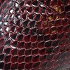 British Collection Soho Limited-Burgundy Snake Skin