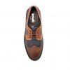 British Collection Wingtip-3 Tone-Navy, Brown, and Tan Leather
